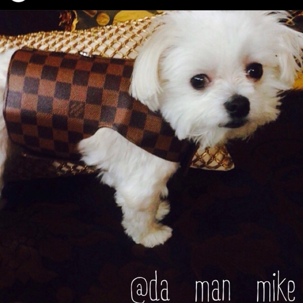 Made from a Louis Vuitton purse adorable vest custom made. Adjustable Velcro